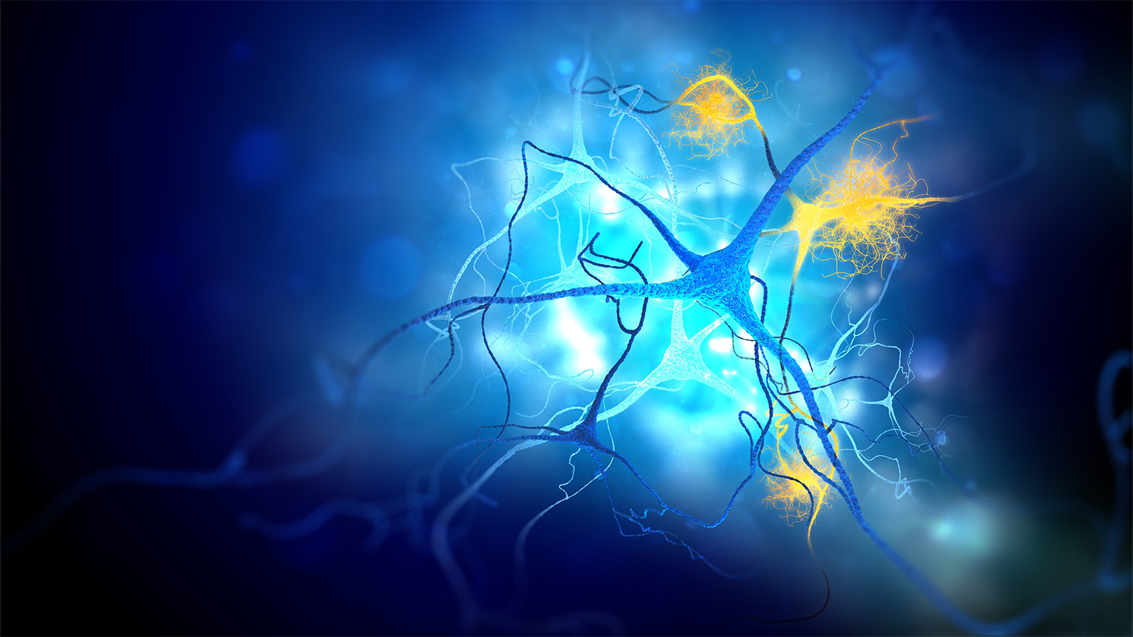氧化应激关闭生育窗口：活性氧加速卵子衰老机制